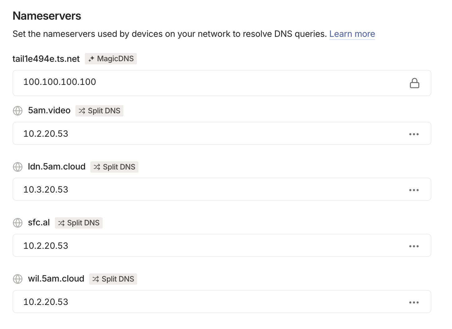 Tailscale nameserver and split DNS configuration
